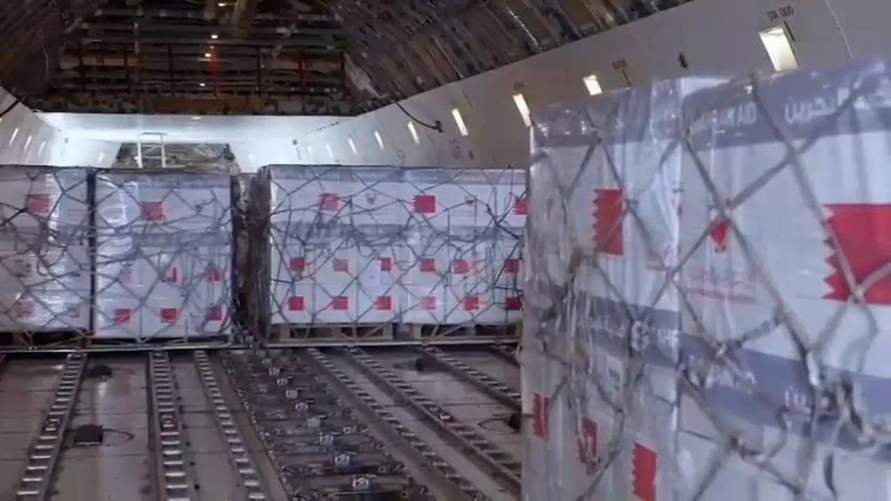 شراكة إماراتية بحرينية.. وصول 100 طن من المساعدات الإغاثية لقطاع غزة بمناسبة رمضان